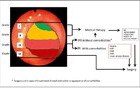 Update of endoscopic classification system of adenoid 